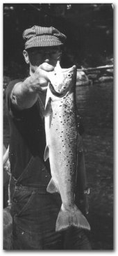 Author holding nice land locked salmon.