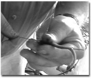 Step 2: hook your line in the small hook in he wire and pull the line through the bait and out where the wire came out, about an inch from the end.. Now fasten a hook to that end of the line and pull the line back so the hook is hidden in the bait.