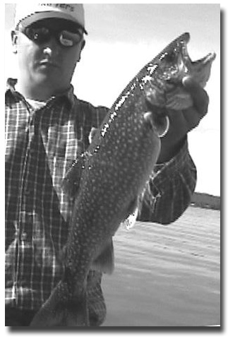 Travis Williams with a nice lake Trout caught on a Sutton #61 at 50' deep while trolling slowly at 1.5 MPH.