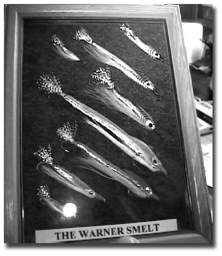 A framed display of the Warner smelt in various sizes.
