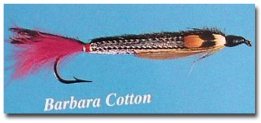Barbara Cotton Salmon Streamer
