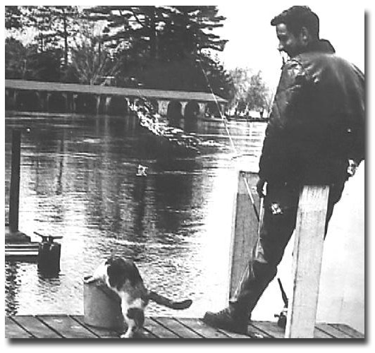 Bill Martel watching a cat who likes smelt as much as trout!