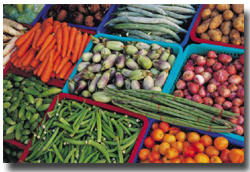 Fresh Vegetables Around Lake Winnipesaukee