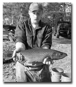 A 6-pound male from the 2003 fall netting.