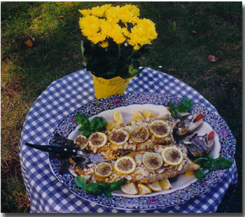A baked stuffed lake trout, dinner fit for a king, as served to my German guests, who still talk about it. (This photo accompanies recipe section at end of my Master Angler section. Around p.177.)