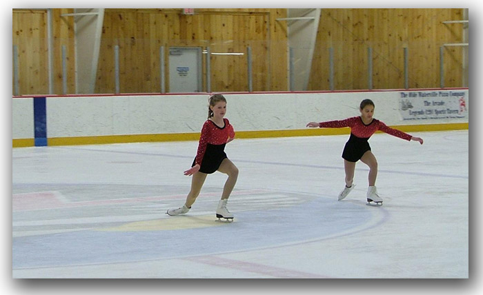 Ice Skating Shows