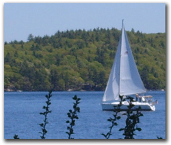 Lake Winnipesaukee Boat Rentals