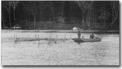 Steve and colleague working the fall salmon nets which by the disturbance on the water are full of salmon ripe for egg harvest and milt fertilizing.