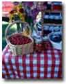 Fresh Vegetables Around Lake Winnipesaukee