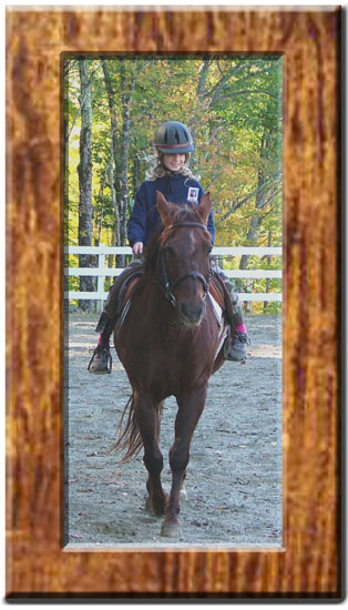 Horseback - Lake Winnipesaukee