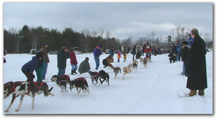 Laconia Sled Dog Race