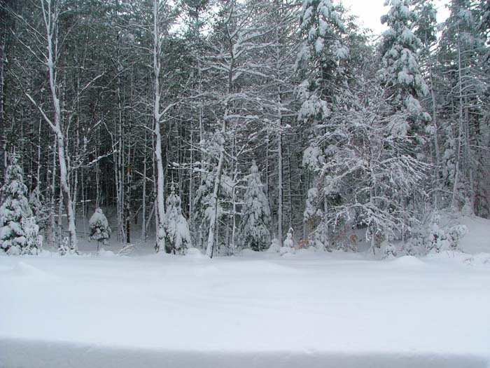 Cross Country Skiing