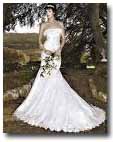 Wedding Dress - Lake Winnipesaukee