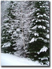 Lake Winnipesaukee Winter